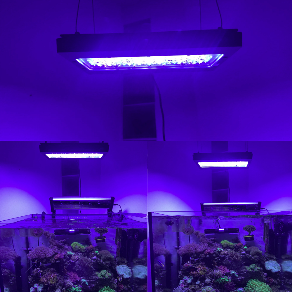 A8se Pro III MAX Mavi 240W Den - Aquarium Marine Blue incelemesi ve fiyatı
