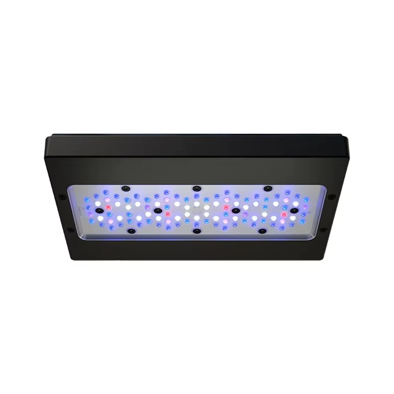 A8 Pro Mavi 215W AC 110-240V W - Aquarium Marine Blue incelemesi ve fiyatı