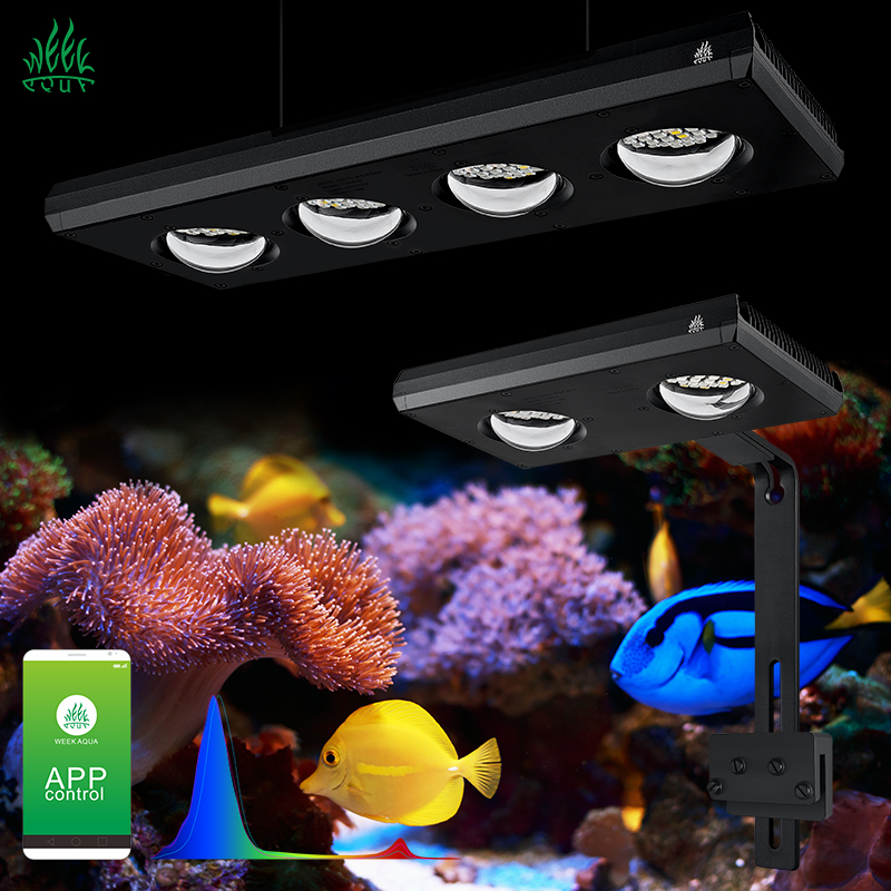 ZXY Çok Satan WEEKAQUA Z250 Z4 - Aquarium Marine Blue incelemesi ve fiyatı