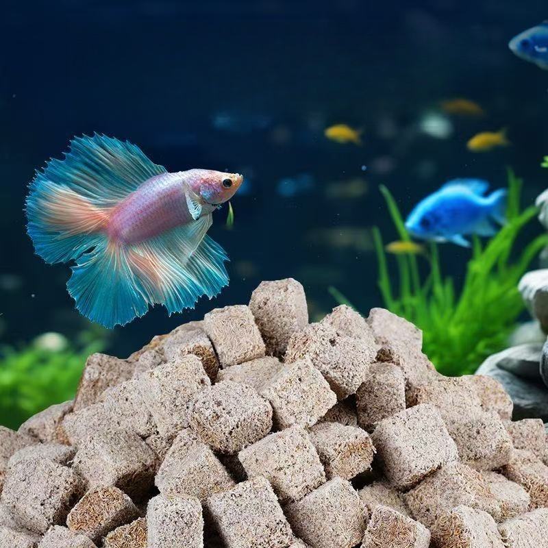 Doğal Dondurarak Kurutulmuş Ka - Marine Aquarium Worms incelemesi ve fiyatı