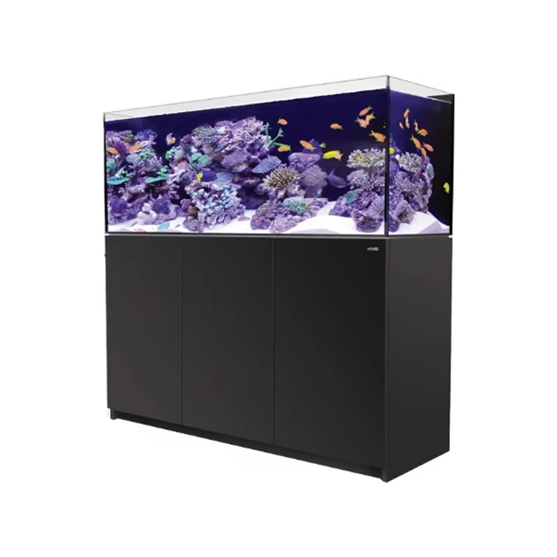 Yüksek Kaliteli Çerçevesiz Öze - Aquarium Marine Setup incelemesi ve fiyatı