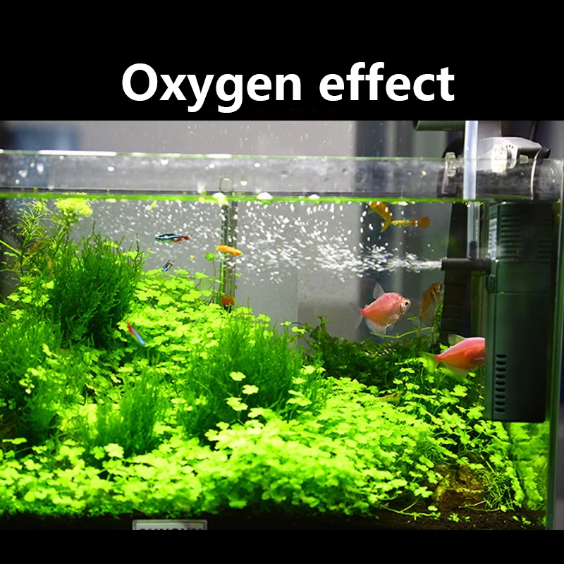 SUNSUN mini nano 111B 311B 611 - Marine Aquarium Uv Filter incelemesi ve fiyatı