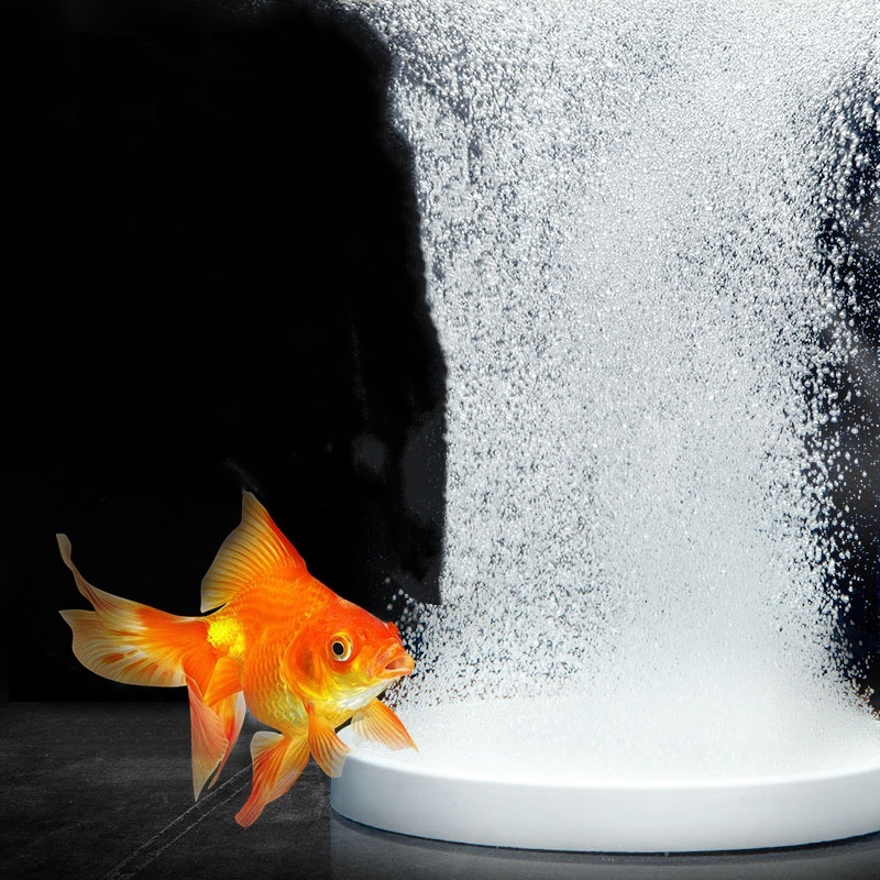 Nano Disk Hava Taşı Oksijen Ha - Marine Aquarium Nano incelemesi ve fiyatı
